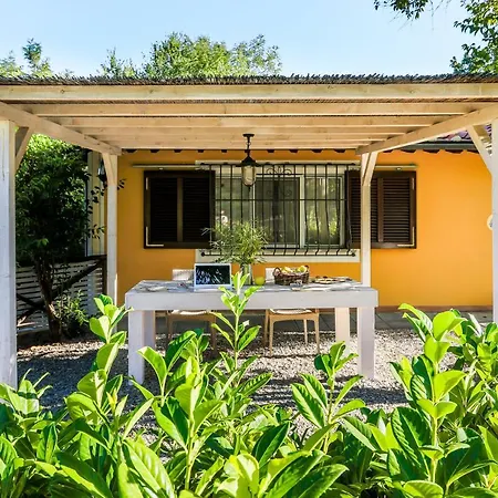 Pongina With Private Pool * Montevarchi